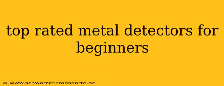 top rated metal detectors for beginners