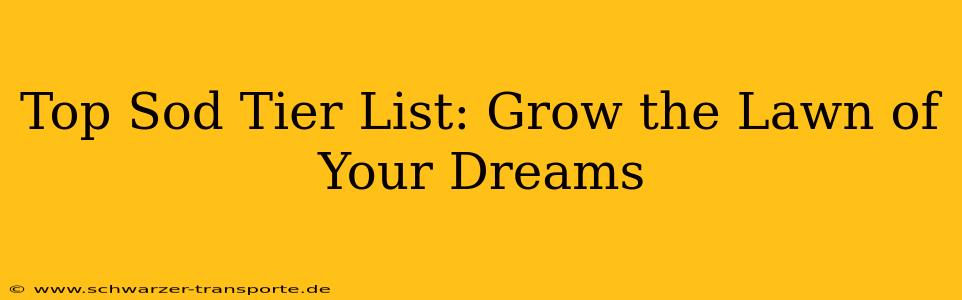 Top Sod Tier List: Grow the Lawn of Your Dreams