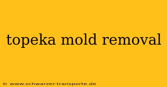 topeka mold removal