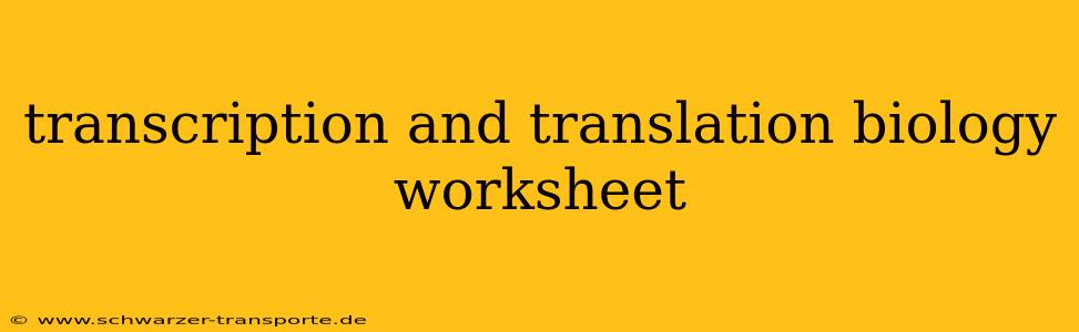 transcription and translation biology worksheet