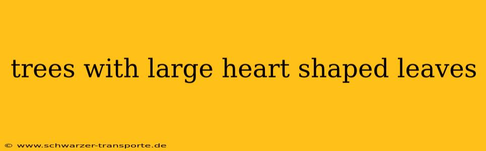 trees with large heart shaped leaves