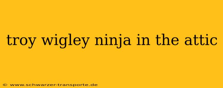 troy wigley ninja in the attic