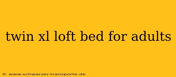 twin xl loft bed for adults
