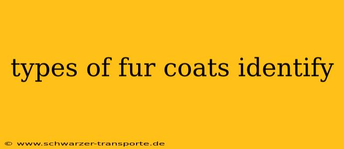 types of fur coats identify
