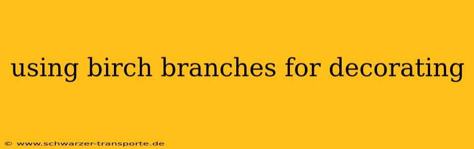 using birch branches for decorating