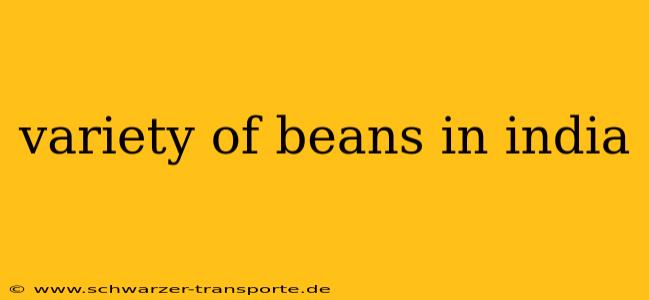 variety of beans in india