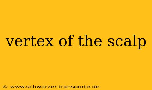vertex of the scalp