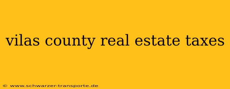vilas county real estate taxes