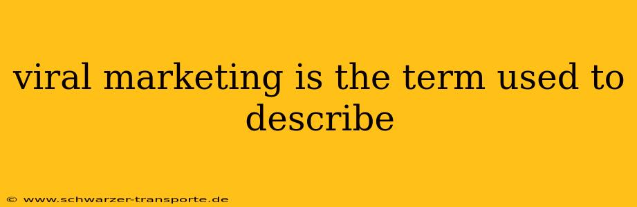 viral marketing is the term used to describe