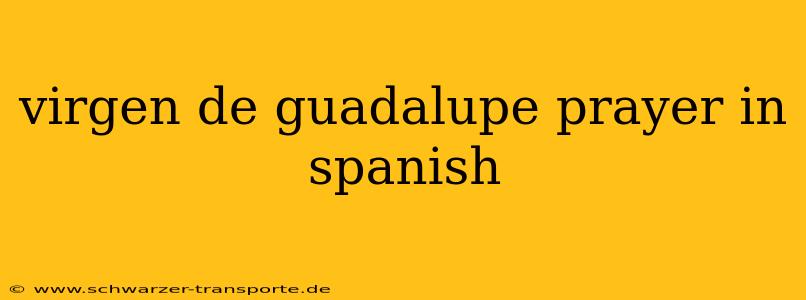 virgen de guadalupe prayer in spanish