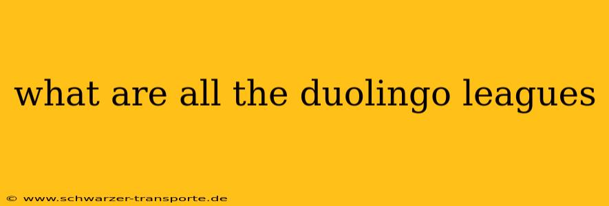 what are all the duolingo leagues