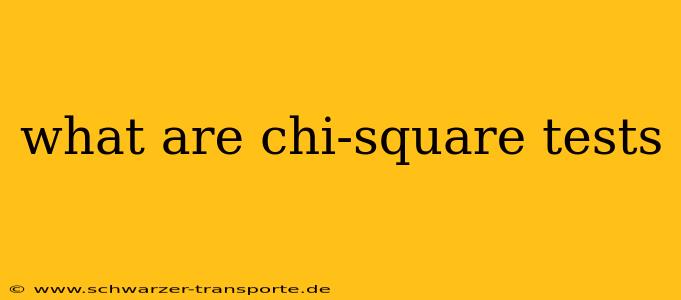 what are chi-square tests
