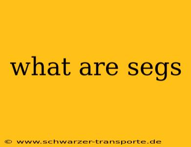 what are segs