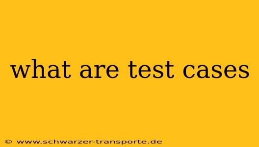 what are test cases