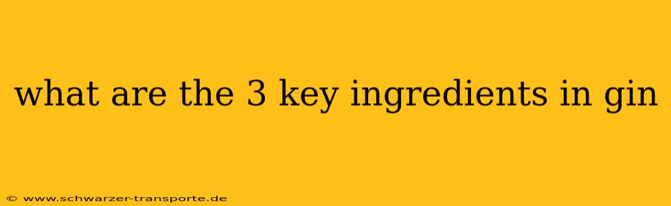 what are the 3 key ingredients in gin
