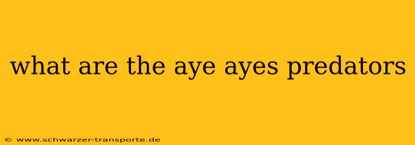 what are the aye ayes predators