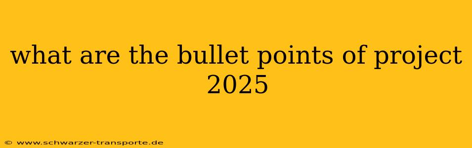 what are the bullet points of project 2025