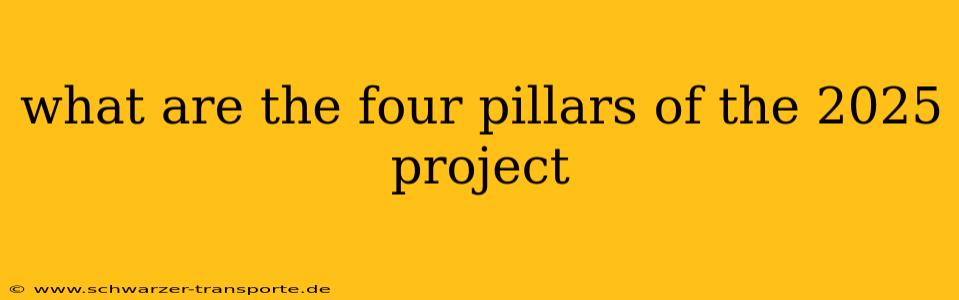 what are the four pillars of the 2025 project