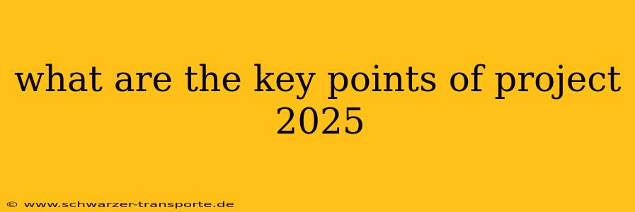what are the key points of project 2025