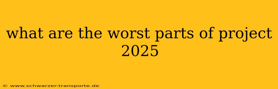 what are the worst parts of project 2025