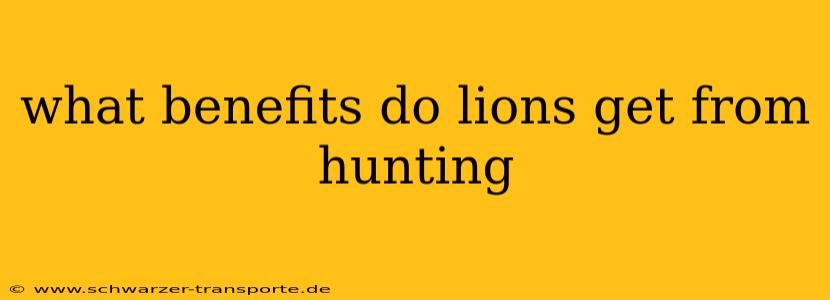 what benefits do lions get from hunting