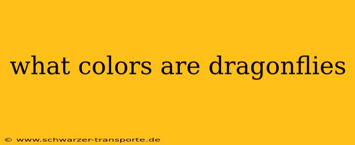 what colors are dragonflies