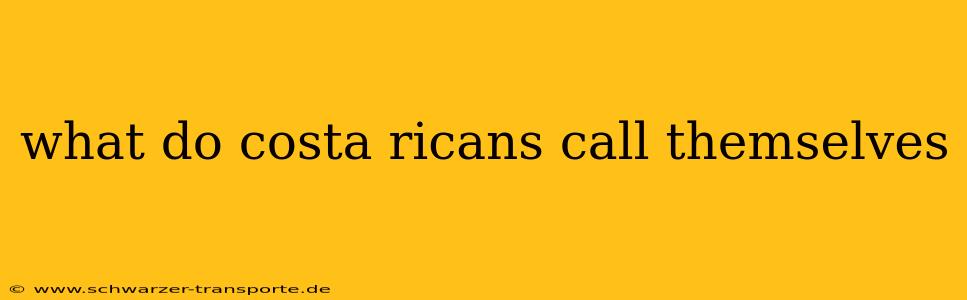 what do costa ricans call themselves
