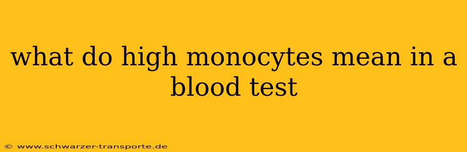 what do high monocytes mean in a blood test