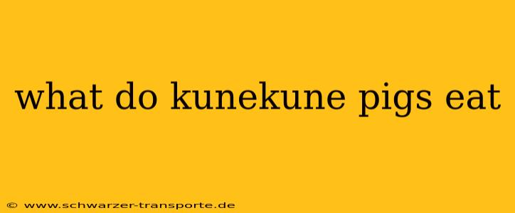 what do kunekune pigs eat