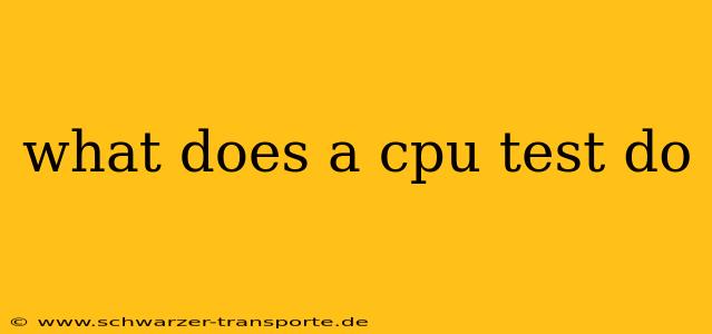 what does a cpu test do