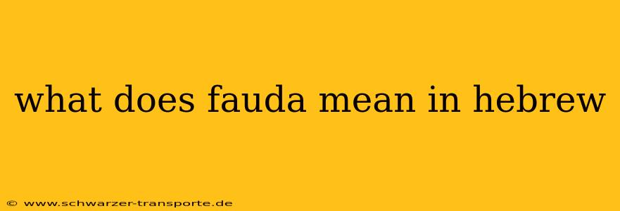 what does fauda mean in hebrew