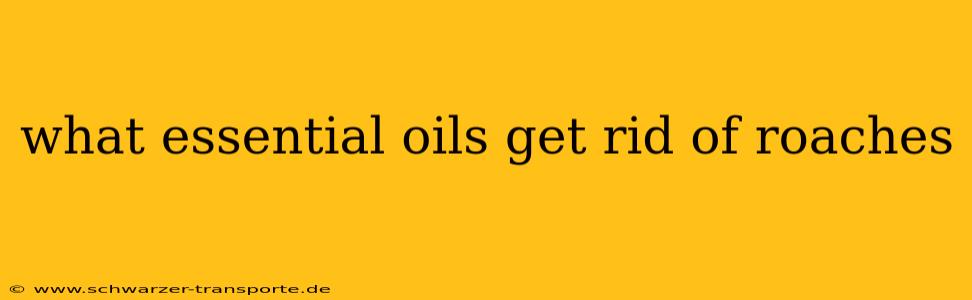 what essential oils get rid of roaches
