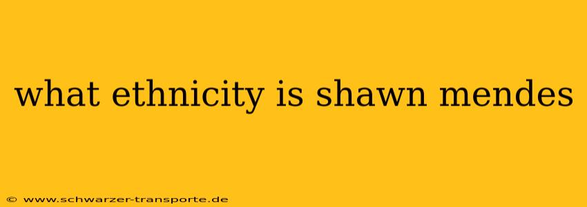 what ethnicity is shawn mendes