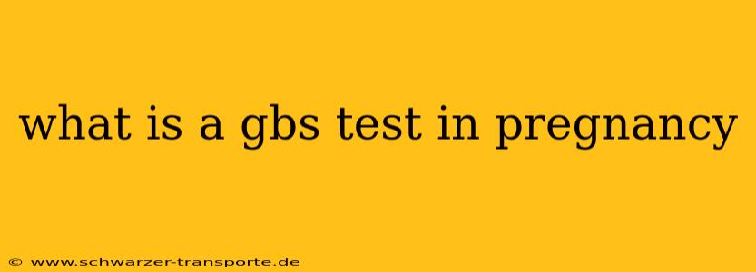 what is a gbs test in pregnancy