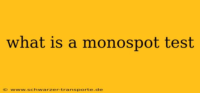 what is a monospot test