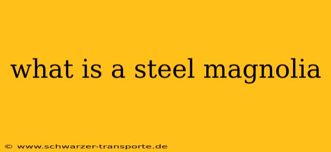 what is a steel magnolia