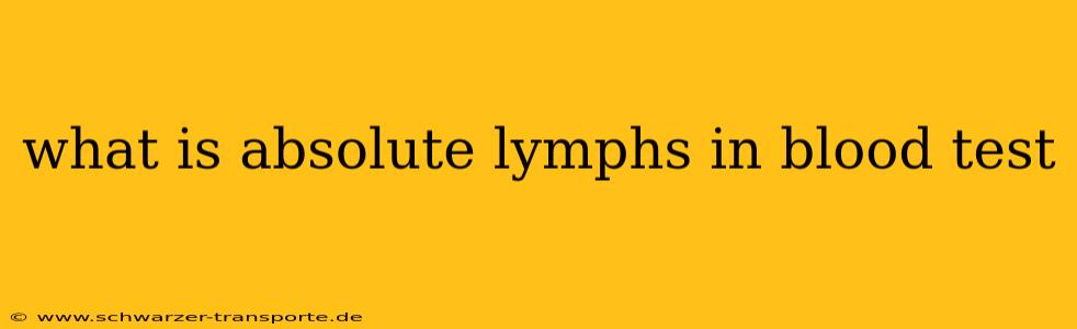 what is absolute lymphs in blood test
