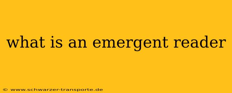 what is an emergent reader