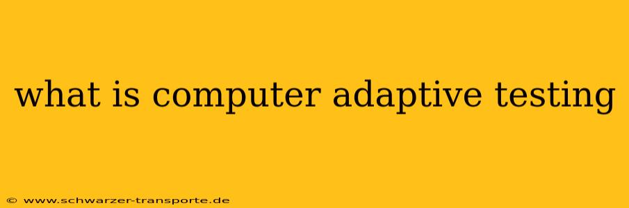 what is computer adaptive testing
