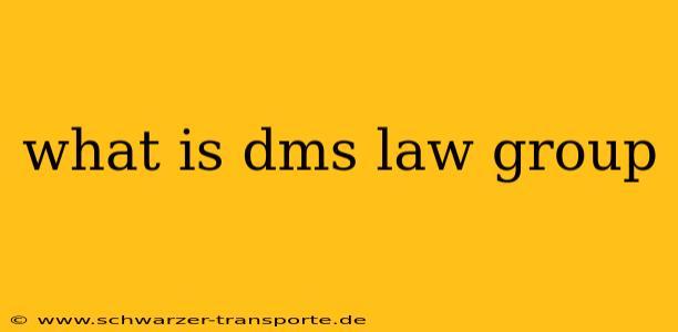 what is dms law group