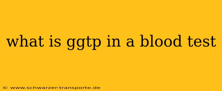 what is ggtp in a blood test