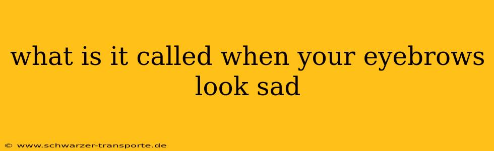 what is it called when your eyebrows look sad