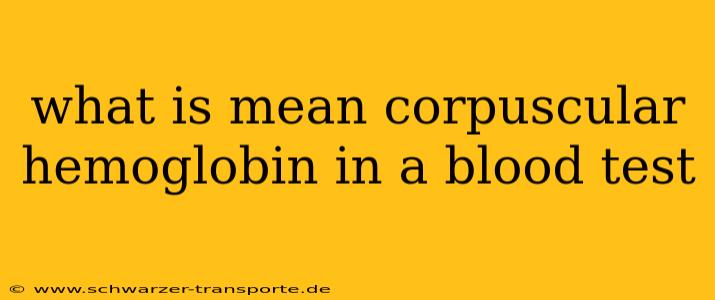 what is mean corpuscular hemoglobin in a blood test