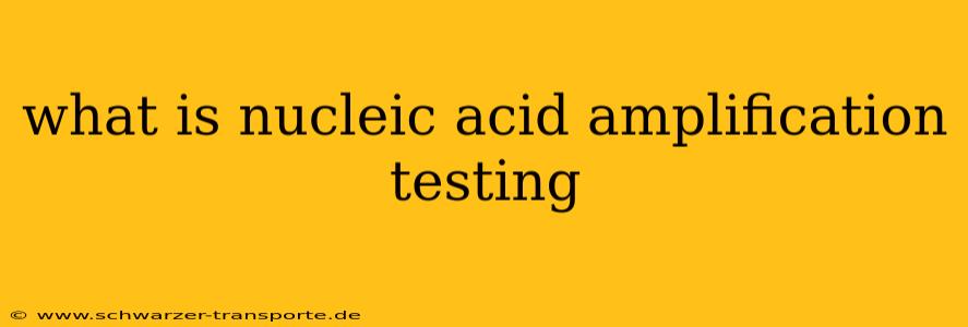 what is nucleic acid amplification testing