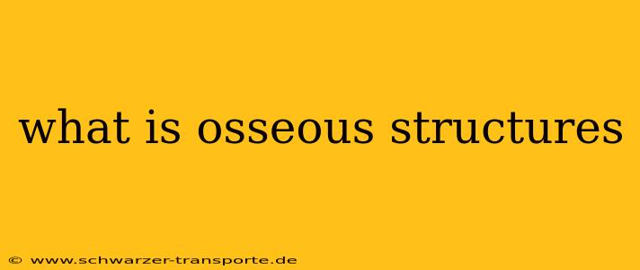 what is osseous structures
