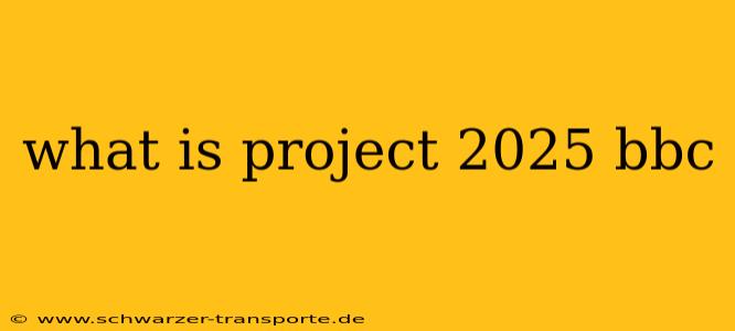 what is project 2025 bbc