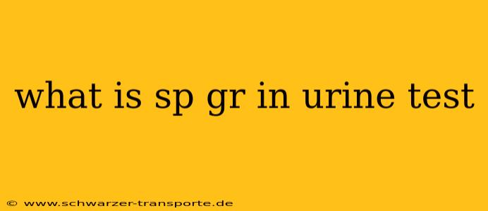 what is sp gr in urine test