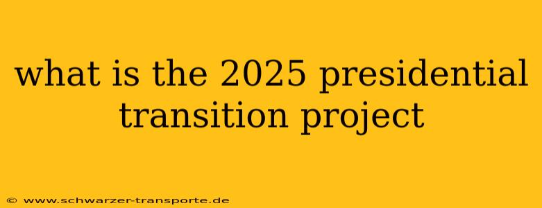what is the 2025 presidential transition project