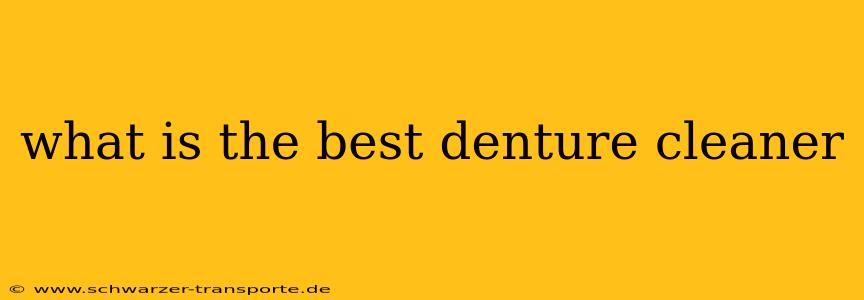 what is the best denture cleaner