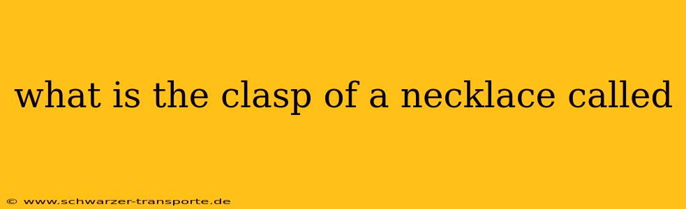what is the clasp of a necklace called